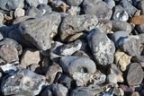 Geologische Strandwanderung