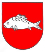Dorffest mit Umzug