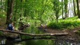 Wilde Ferien