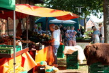 Herbstmarkt im Probstei Museum