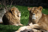 Grömitz entdecken - Zoo Wanderung
