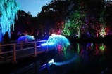 Lichtermeer im Kurpark - Georgie Carbutler