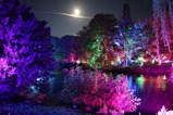 Lichtermeer im Kurpark