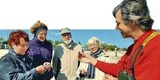 Ostsee erleben