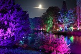 Lichtermeer im Kurpark - DJ Niko