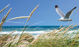 Strandentdeckertour - "Best of Baltic"