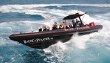 Kleine 800 PS  Action-Tour mit dem Speedboot
