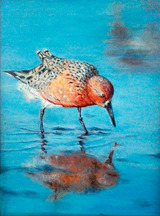Er&ouml;ffnung der Ausstellung Blickwechsel
