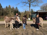 Kennenlernspaziergang f&uuml;r Eselfreunde