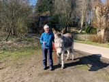 Von Jerusalem nach Bethlehem - Advent im Eselstall