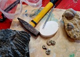 Fossilienwerkstatt im Geotanium