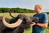 Biohof Ellerneff - Hofführung zu den Wasserbüffeln