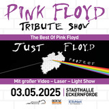 Pink Floyd Tribute Show- The Best Of Pink Floyd