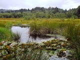 Überraschende Vielfalt in den Fröruper Bergen