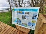 Ornithologische Exkursion Bülker Salzwiesen