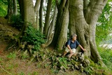 Naturmomente