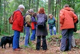 LiteraTour - ein literarischer Waldspaziergang
