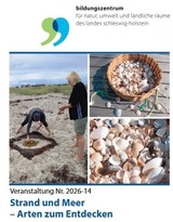 Strand und Meer - Arten zum Entdecken