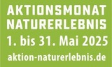 Wildkräuterlimonaden aus dem Garten