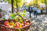 Landmarkt im Oldenburger Wallmuseum