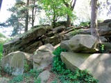 Frühlingswanderung auf der "Geotour Felsenmeer"
