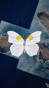 RAW Photo Triennale Worpswede 2023 #NEXT