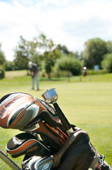 Fungolfen